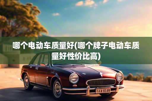 哪个电动车质量好(哪个牌子电动车质量好性价比高)