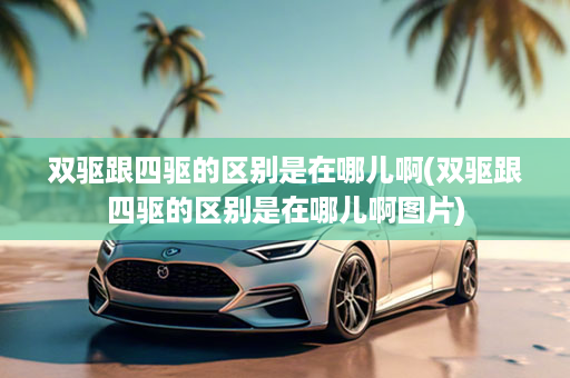 双驱跟四驱的区别是在哪儿啊(双驱跟四驱的区别是在哪儿啊图片)