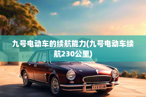 九号电动车的续航能力(九号电动车续航230公里)