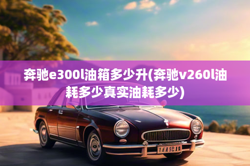 奔驰e300l油箱多少升(奔驰v260l油耗多少真实油耗多少)