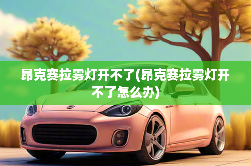 昂克赛拉雾灯开不了(昂克赛拉雾灯开不了怎么办)