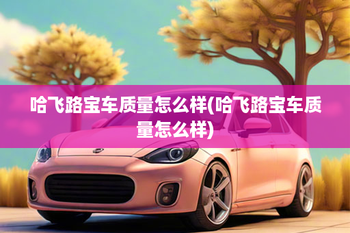 哈飞路宝车质量怎么样(哈飞路宝车质量怎么样)