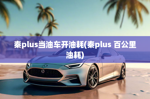 秦plus当油车开油耗(秦plus 百公里油耗)