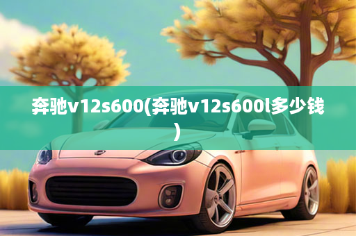 奔驰v12s600(奔驰v12s600l多少钱)