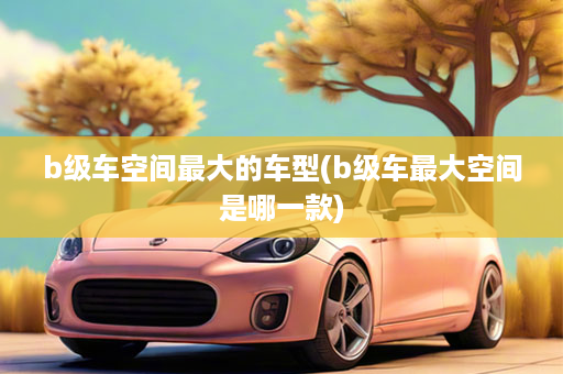 b级车空间最大的车型(b级车最大空间是哪一款)