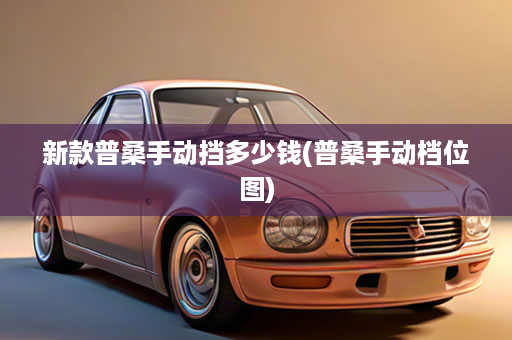 新款普桑手动挡多少钱(普桑手动档位图)