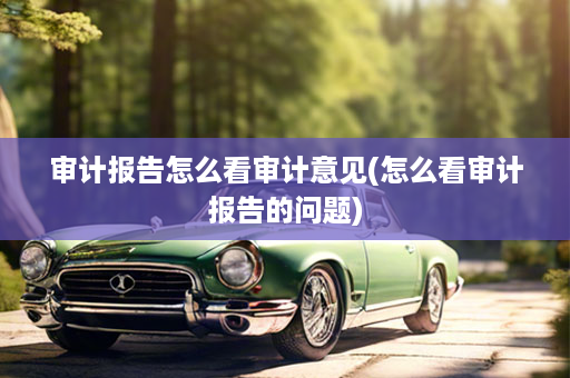 审计报告怎么看审计意见(怎么看审计报告的问题)