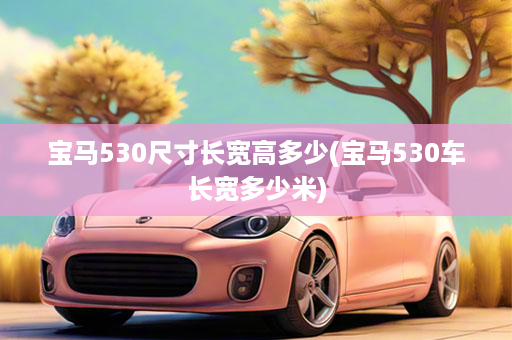 宝马530尺寸长宽高多少(宝马530车长宽多少米)