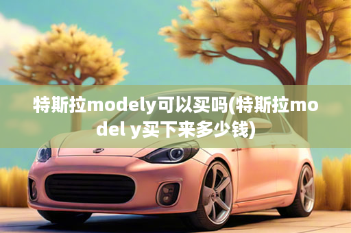 特斯拉modely可以买吗(特斯拉model y买下来多少钱)