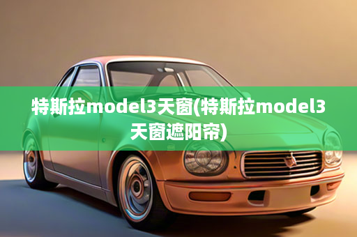特斯拉model3天窗(特斯拉model3天窗遮阳帘)